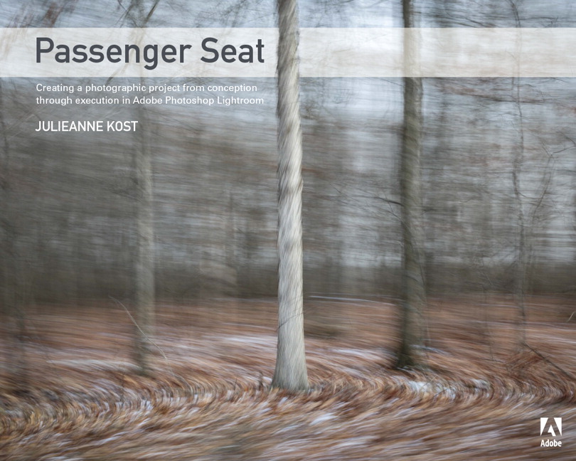 Picture of Passenger Seat
