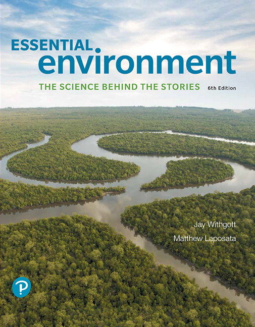 Picture of Essential Environment