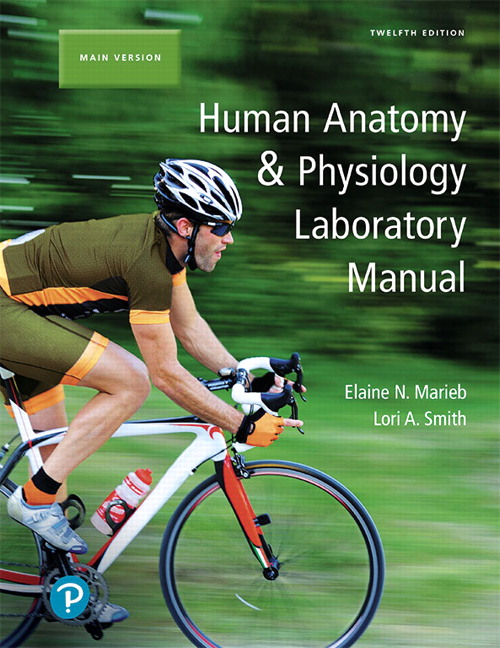Picture of Human Anatomy & Physiology Laboratory Manual, Main Version