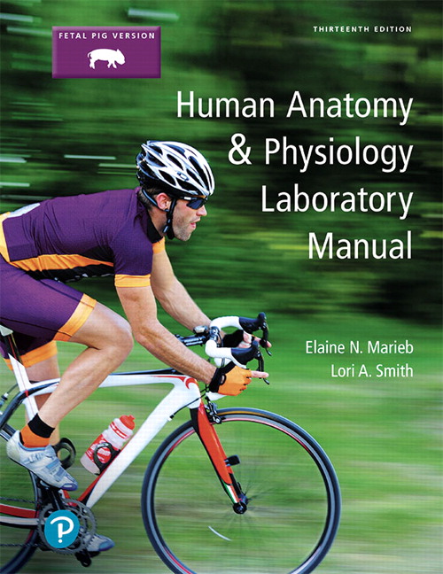Picture of Human Anatomy & Physiology Laboratory Manual, Fetal Pig Version