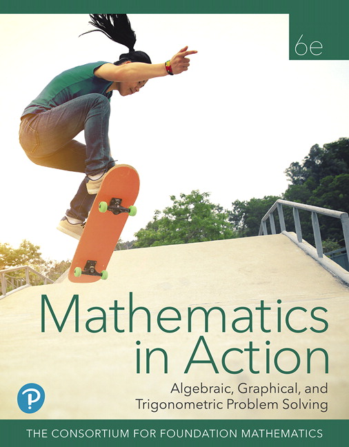 Picture of Mathematics in Action