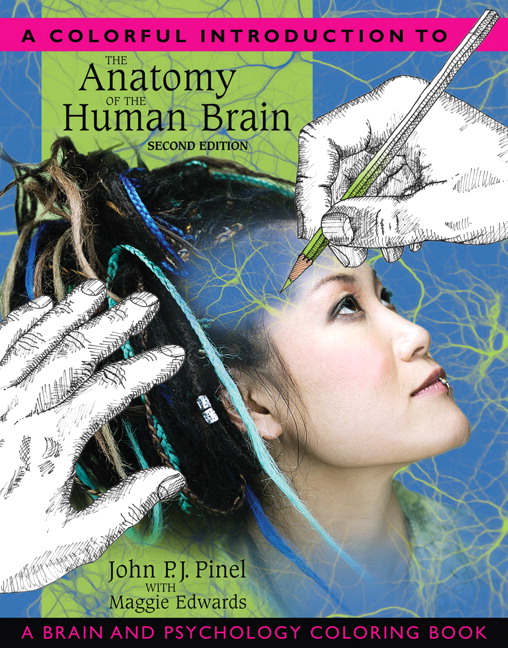 Picture of Colorful Introduction to the Anatomy of the Human Brain, A