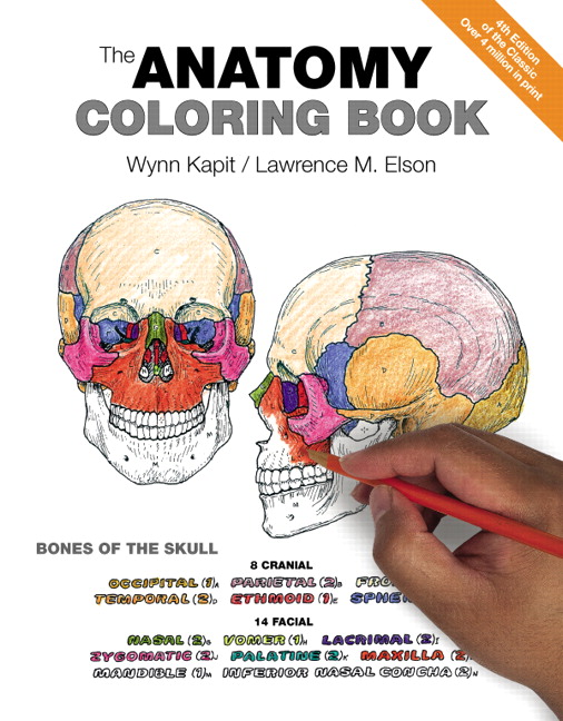 Picture of Anatomy Coloring Book, The