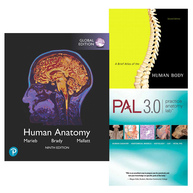 Picture of Human Anatomy, Global Edition + Practice Anatomy Lab 3.0 + A Brief Atlas of the Human Body