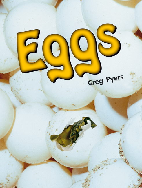 Picture of Rigby Literacy Early Level 4