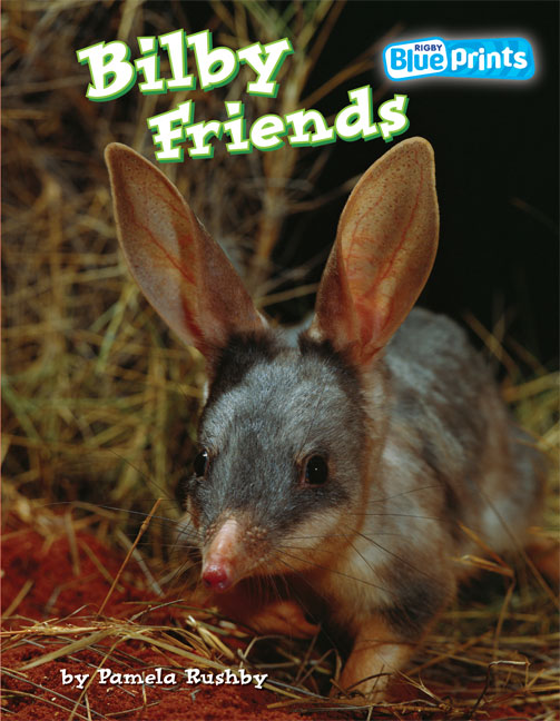 Picture of Blueprints Middle Primary A Unit 4