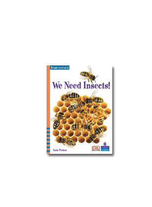 Picture of Four Corners Fluent Level