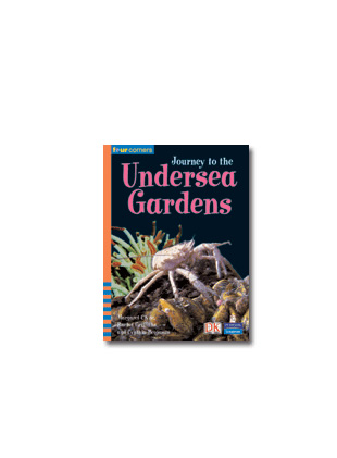 Picture of Four Corners Fluent Level