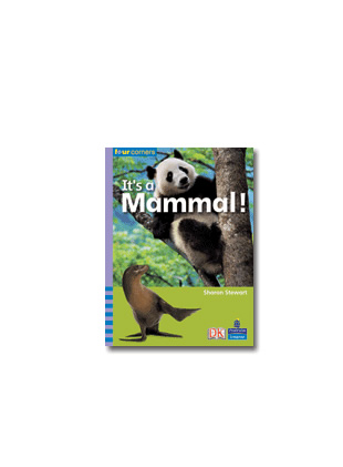 Picture of Four Corners Middle Primary A