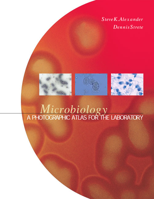 Picture of Microbiology
