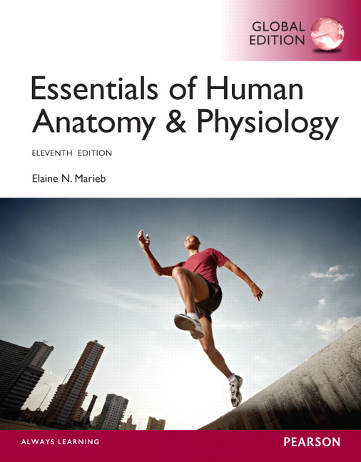 Picture of Essentials of Human Anatomy & Physiology, Global Edition