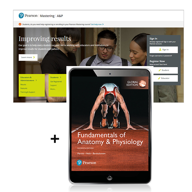 Picture of Fundamentals of Anatomy & Physiology, Global Edition -- Mastering A&P with Pearson eText