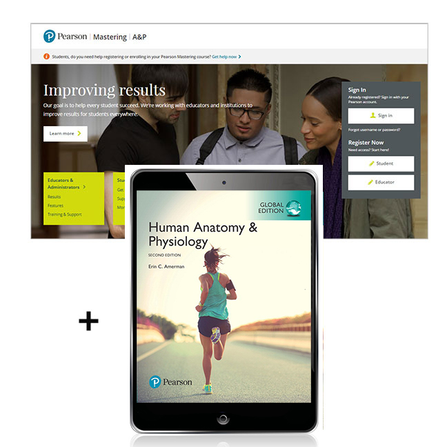 Picture of Human Anatomy & Physiology, Global Edition -- Mastering A&P with Pearson eText