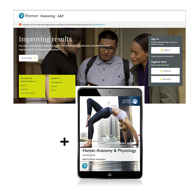 Picture of Human Anatomy & Physiology, Global Edition -- Mastering A&P with Pearson eText