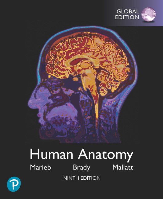 Picture of Human Anatomy, Global Edition