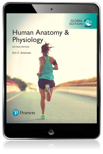 Picture of Human Anatomy and Physiology, Global Edition -- Mastering Anatomy & Physiology with Pearson eText