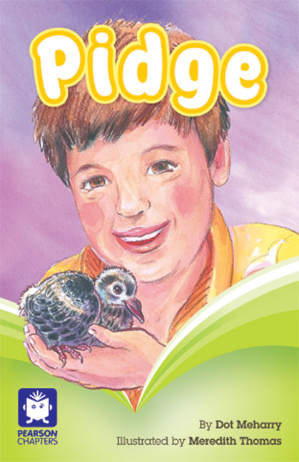 Picture of Pearson Chapters Year 2
Pidge (Reading Level 19-20/F&P Level K)