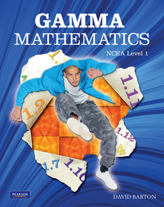 Picture of Gamma Mathematics NCEA Level 1