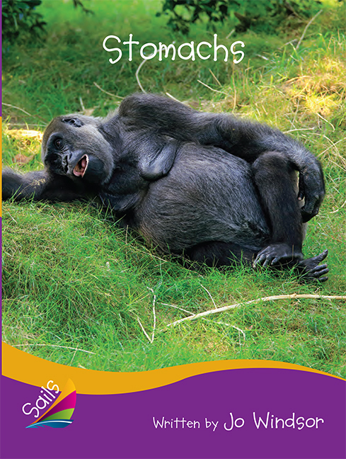 Picture of Sails Additional Fluency - Purple Bridging Gold