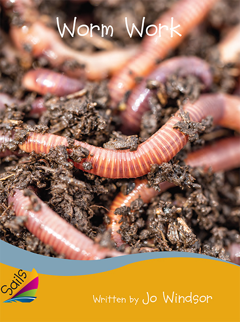 Picture of Sails Additional Fluency - Gold Bridging Silver