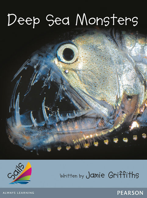 Picture of Sails Advanced Fluency Silver