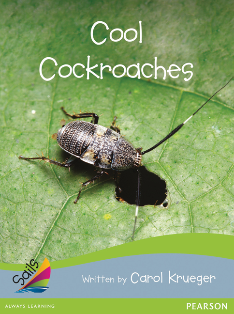 Picture of Sails Advanced Fluency Silver Bridging Emerald