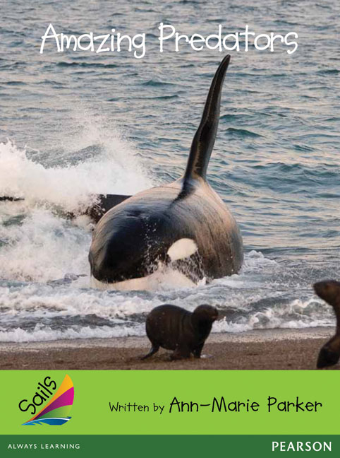 Picture of Sails Advanced Fluency Emerald