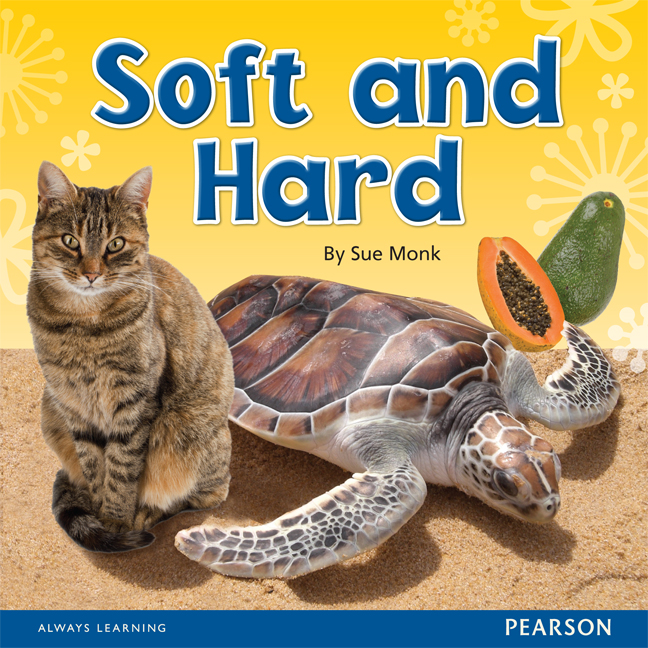 Picture of I Can Read Level C