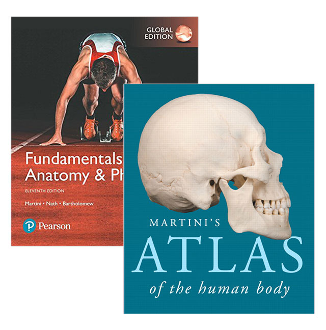 Picture of Fundamentals of Anatomy & Physiology, Global Edition + Martini's Atlas of the Human Body
