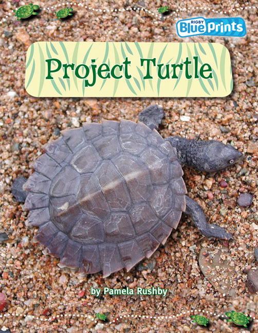 Picture of Blueprints Upper Primary A Unit 2