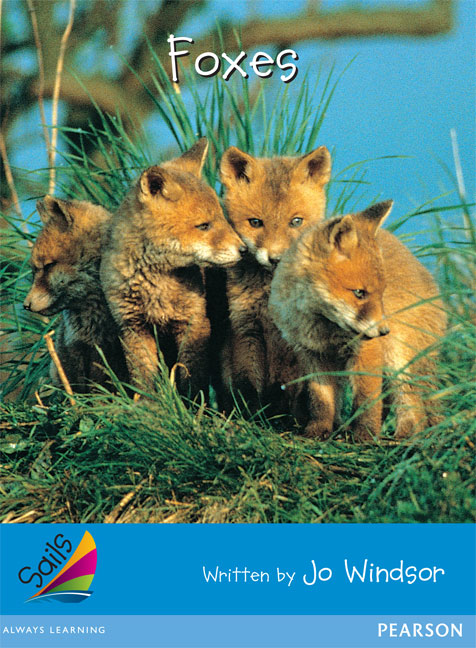 Picture of Sails Early Blue Set 2