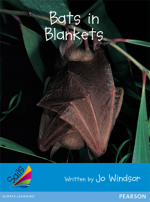 Picture of Sails Early Blue Set 2