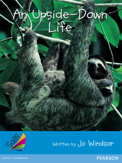 Picture of Sails Early Blue Set 2