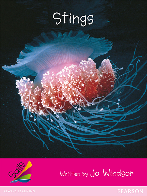 Picture of Sails Emergent Level - Magenta