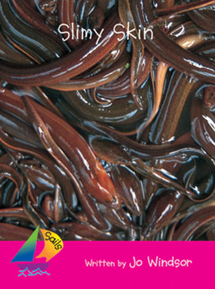 Picture of Sails Emergent Level - Magenta