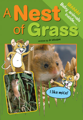 Picture of Sailing Solo Blue Level