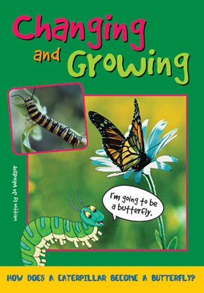 Picture of Sailing Solo Blue Level