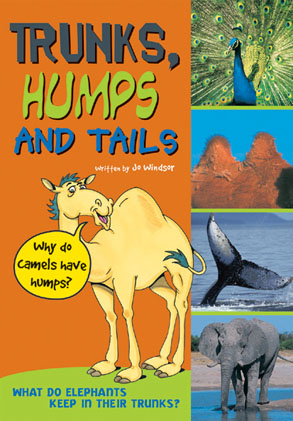 Picture of Sailing Solo Blue Level