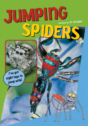 Picture of Sailing Solo Blue Level