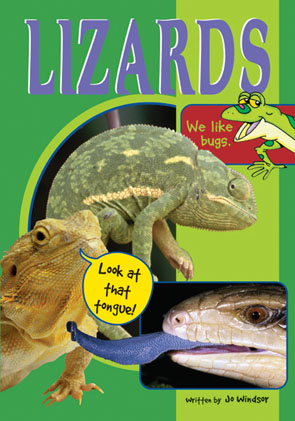 Picture of Sailing Solo Blue Level