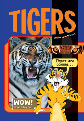 Picture of Sailing Solo Blue Level