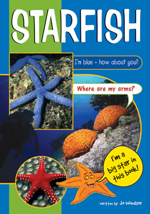 Picture of Sailing Solo Blue Level