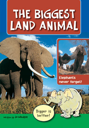 Picture of Sailing Solo Green