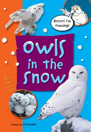 Picture of Sailing Solo Green