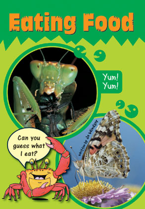 Picture of Sailing Solo Green