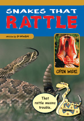 Picture of Sailing Solo Green