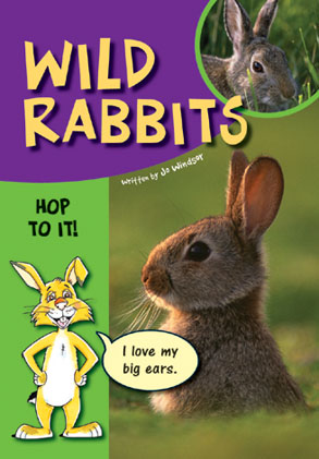 Picture of Sailing Solo Green