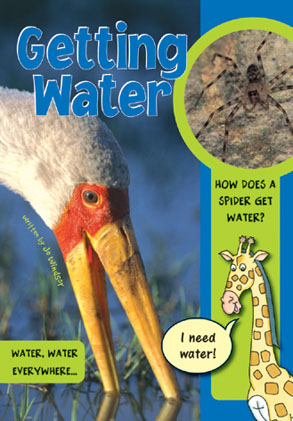 Picture of Sailing Solo Green