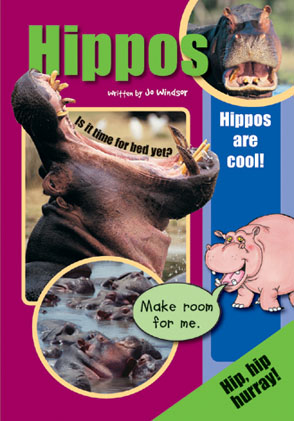 Picture of Sailing Solo Green