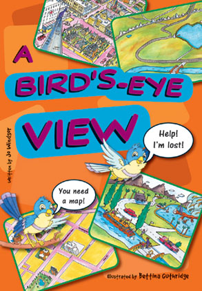 Picture of Sailing Solo Green